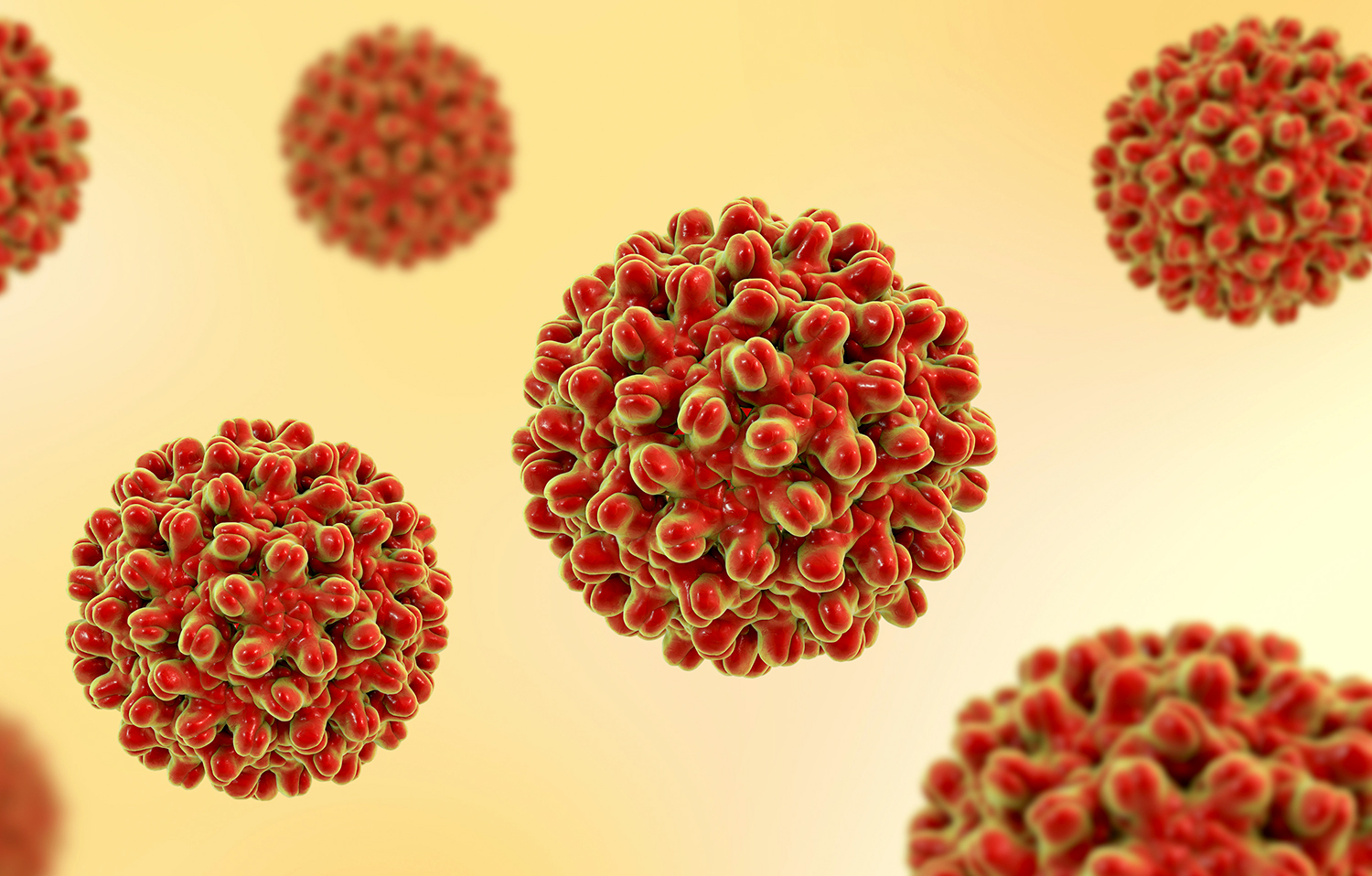 3D illustration of Hepatitis B virions
