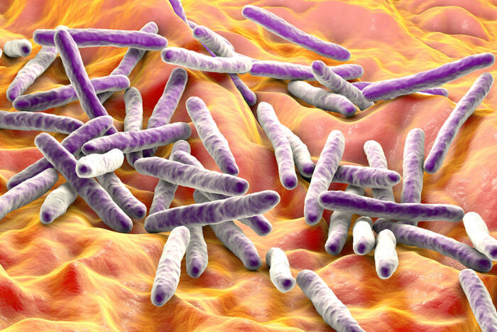 3D illustration of Mycobacterium tuberculosis, the causative agent of tuberculosis