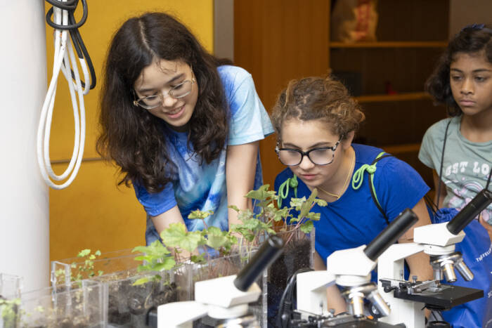 Students had the opportunity to explore how plants partner with fungi to obtain nutrients and communicate with each other.