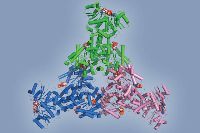 A new chemistry for CRISPR