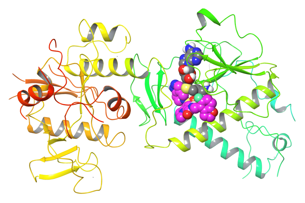 viral mRNA cap methyltransferase NSP14