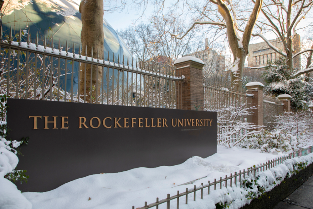 Photo of sign reading "The Rockefeller University" in snow