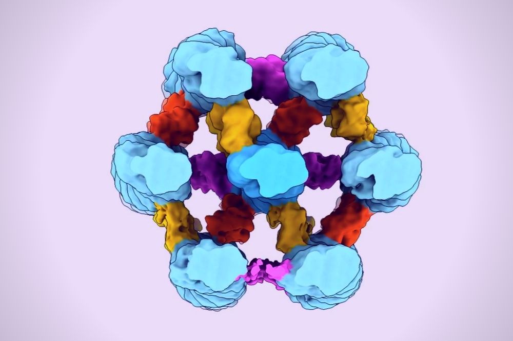 A hexagonal bundle showing fascin proteins linking pairs of actin filaments together