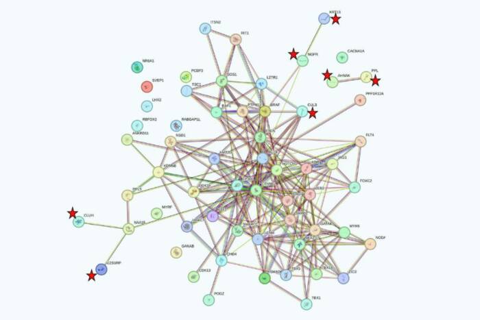 STRING analysis of 60 significant genes