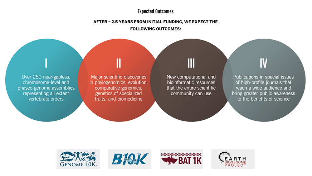 Graphic showing expected outcomes after 2.5 years from initial funding