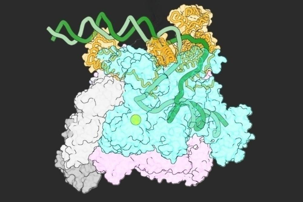 RNA image from Darst lab