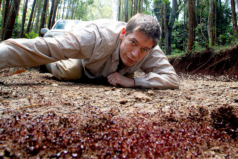 Daniel Kronauer observing an ant colony in the forest